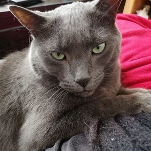 Meet your Posher, Nancy